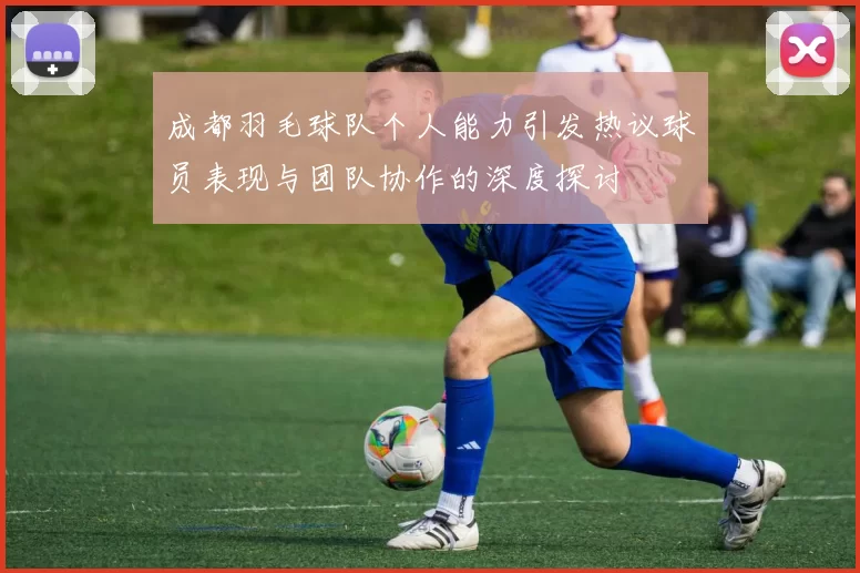 成都羽毛球队个人能力引发热议球员表现与团队协作的深度探讨