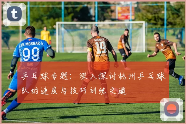 乒乓球专题：深入探讨杭州乒乓球队的速度与技巧训练之道