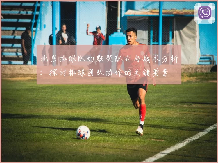 北京排球队的默契配合与战术分析：探讨排球团队协作的关键要素