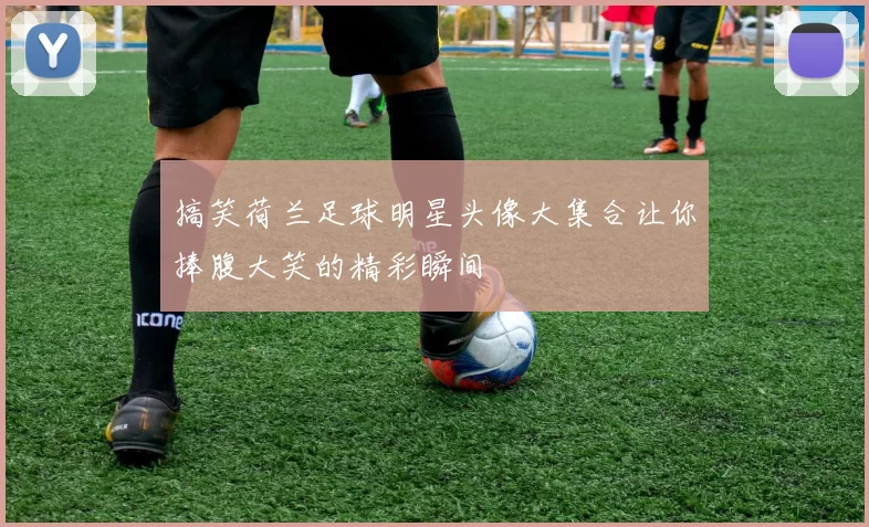 搞笑荷兰足球明星头像大集合让你捧腹大笑的精彩瞬间