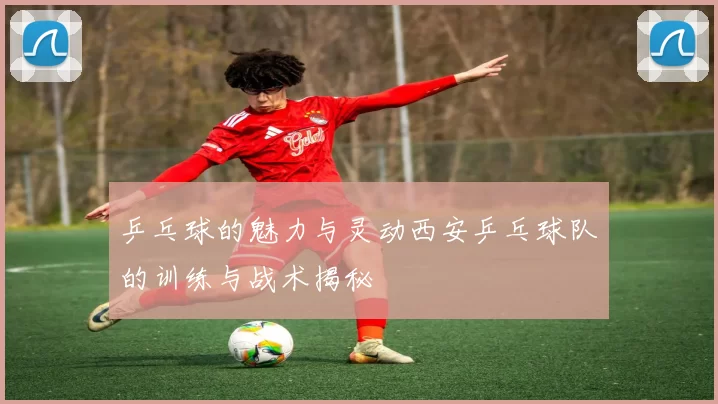 乒乓球的魅力与灵动西安乒乓球队的训练与战术揭秘