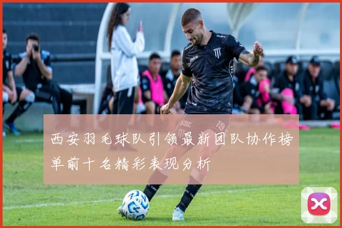 西安羽毛球队引领最新团队协作榜单前十名精彩表现分析