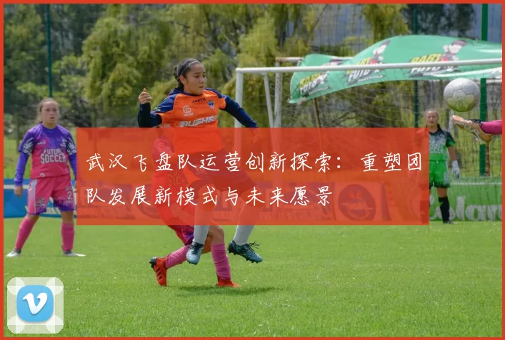 武汉飞盘队运营创新探索：重塑团队发展新模式与未来愿景
