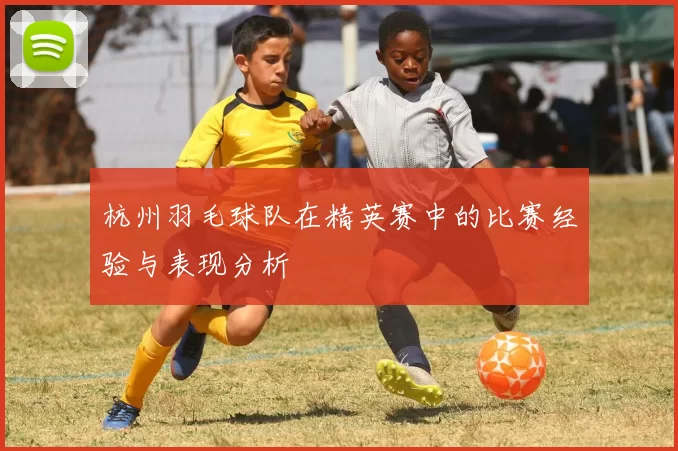 杭州羽毛球队在精英赛中的比赛经验与表现分析