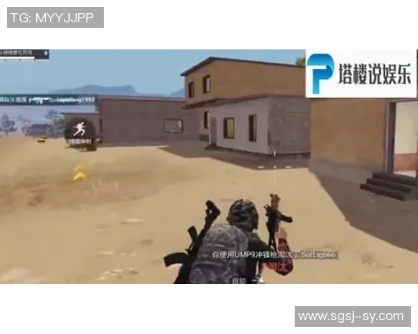 聚焦和平精英技术探讨：IG战队如何引领游戏竞技新潮流