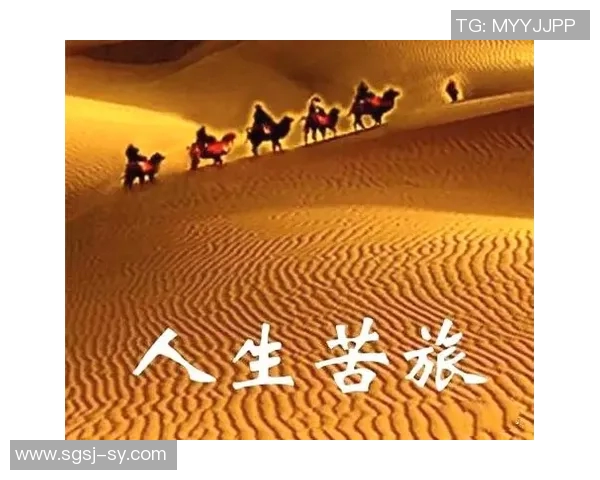 张静的极限运动人生探索与挑战的深度对话之旅