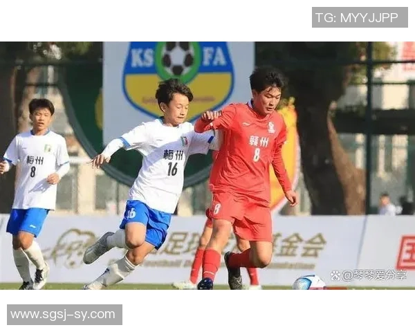 武汉足球队实力揭秘：从青训到职业联赛的全景分析与展望